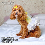 Parisian Pet Ballerina Dog Dress - Summer Clothes for Small Dogs - Comfortable Striped Yellow Pet Dress - Dog Wedding Outfit - Lightweight Puppy Clothes Girl - Designer Dresses for Dogs