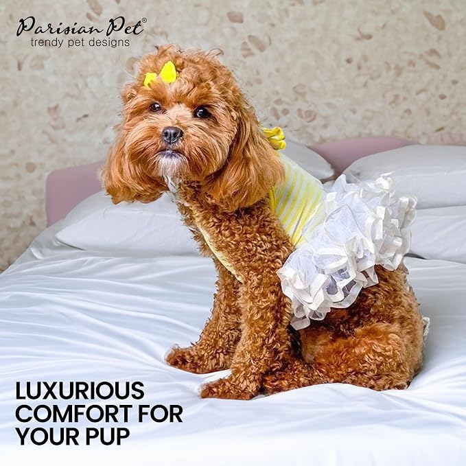Parisian Pet Ballerina Dog Dress - Summer Clothes for Small Dogs - Comfortable Striped Yellow Pet Dress - Dog Wedding Outfit - Lightweight Puppy Clothes Girl - Designer Dresses for Dogs