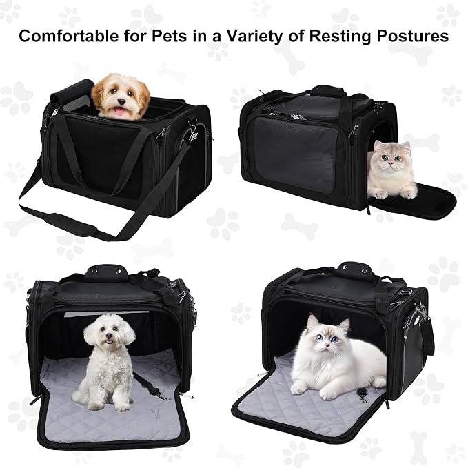 EliteField Deluxe Soft Pet Carrier for Cats and Dogs (3-Year Warranty) | Airline Approved, Waterproof Fabric, Scratch-Resistant Mesh, Expandable Mat, Built-In Leash, Suitcase Sleeve, Seat Belt Loops