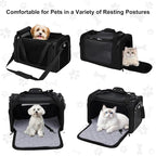 EliteField Deluxe Soft Pet Carrier for Cats and Dogs (3-Year Warranty) | Airline Approved, Waterproof Fabric, Scratch-Resistant Mesh, Expandable Mat, Built-In Leash, Suitcase Sleeve, Seat Belt Loops