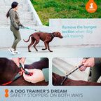 SparklyPets - Bungee Rope Handsfree Leash for 1 Dog - Demovable Slip Lead - Waist or Hip Belt Leash for Dog Walking, Running, Carnicross - Medium & Large Breeds