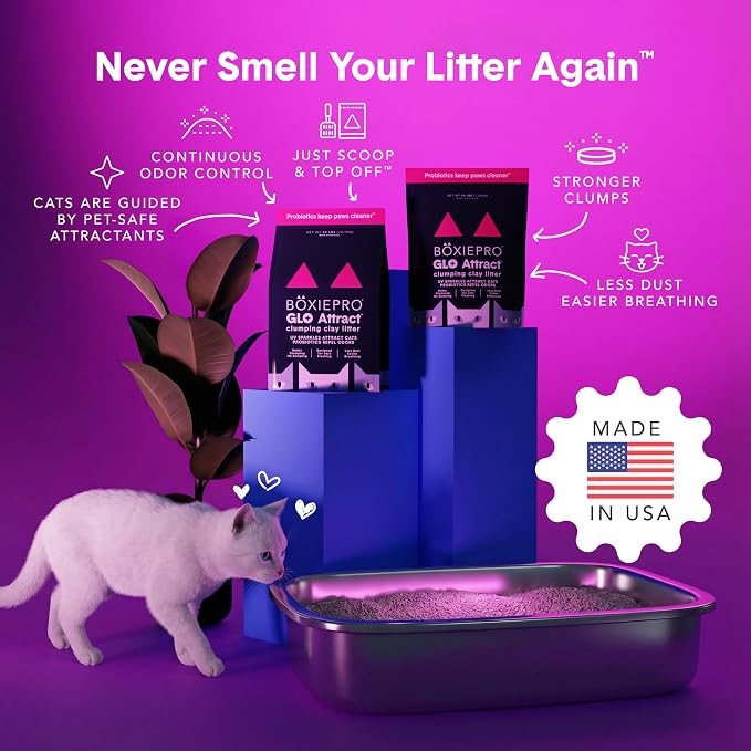 Boxie Glo Attract Clumping Cat Litter 40+ Day Odor Control Dust Free 16 lb