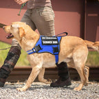 Service Dog Vest Harness and Leash Set+10 Patches,Easy Walk Blue S | No Pull&Adjustable Reflective Dog Harness Small Sized,Dog Leash with 2 Soft Padded Handles,for Training Hiking Walking
