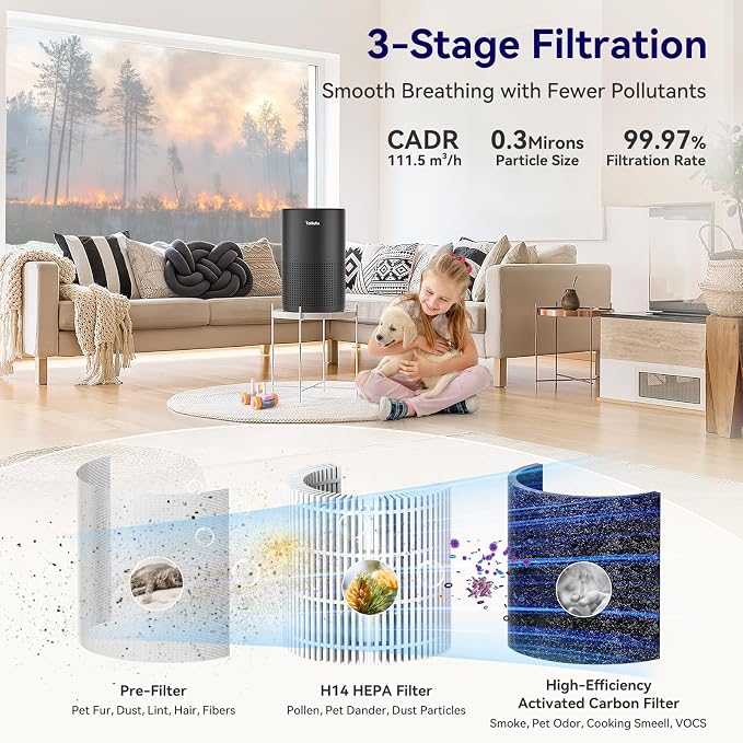 Air Purifiers for Bedroom Home, Tailulu H14 True HEPA Air Purifier Filter, Quiet Air Cleaner With 12dB Sleep Mode Night Light Speed Control Timer, Portable Small Air Purifier For Allergies Pets, AP052
