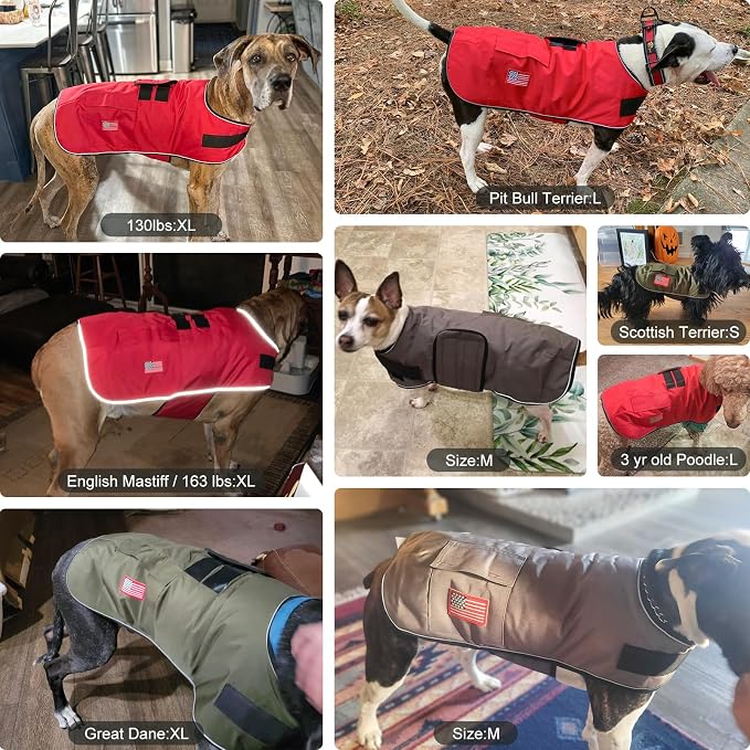 BEAUTYZOO Dog Winter Coat for Large Dogs Waterproof, Warm Reflective Great Dane Oxford Canvas Jacket, Fleece Dog Cold Weather Coats Windproof for Female Male Dogs, Grey L