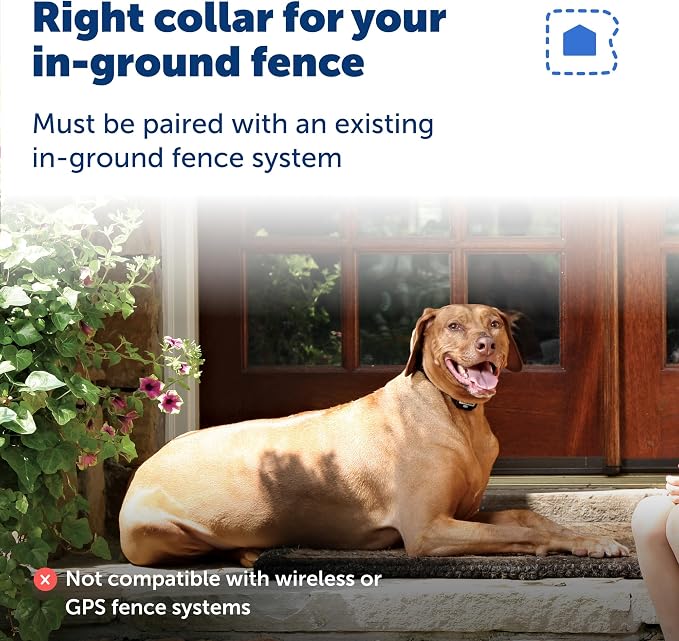 PetSafe Rechargeable In-Ground Fence Collar | Collar Only, Replacement, Extra, Add-A-Dog, Waterproof, Tone and Static, Dogs & Cats 5 lb+, Fits 6-26in Necks