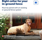 PetSafe Rechargeable In-Ground Fence Collar | Collar Only, Replacement, Extra, Add-A-Dog, Waterproof, Tone and Static, Dogs & Cats 5 lb+, Fits 6-26in Necks