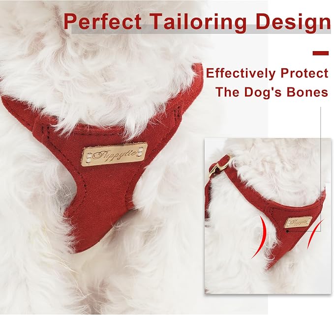 Puppytie Small Dog Harness and Leash Set, Red Hawthorn, S (9-17.5 lbs) | Dog Harness Small Sized Dog, Dog Leash for Small Dogs, Soft and Lightweight, Puppytie Dog Harness for Daily Walks