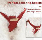 Puppytie Small Dog Harness and Leash Set, Red Hawthorn, S (9-17.5 lbs) | Dog Harness Small Sized Dog, Dog Leash for Small Dogs, Soft and Lightweight, Puppytie Dog Harness for Daily Walks