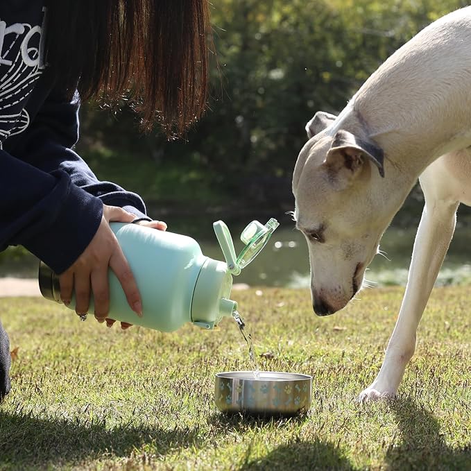 GiNT 37oz Insulated Stainless Steel Dog & Human Water Bottle | Leakproof Travel Dispenser with Detachable 10oz Bowl, 24H Cold/12H Hot, Carrying Case for Walking, Hiking,Camping & Outdoor Travel(Green)