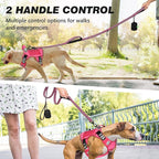 Double Handle Dog Leash with Poop Bag Holder and Car Seat Belt Buckle | Heavy Duty | Double Handle | with Poop Bag Holder | with Car Seat Belt Buckle | Reflective | Lightweight