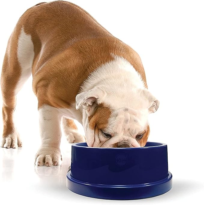 K&H Dog Water Bowl, Coolin' Pet Bowl, Ice Cold Pet Dish, 96 Ounces | Summer Cooling Water Bowl for Small, Medium & Large Dogs & Cats, Stays Cool and Fresh, Insulated BPA-free, Indoor Outdoor