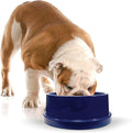 K&H Dog Water Bowl, Coolin' Pet Bowl, Ice Cold Pet Dish, 96 Ounces | Summer Cooling Water Bowl for Small, Medium & Large Dogs & Cats, Stays Cool and Fresh, Insulated BPA-free, Indoor Outdoor