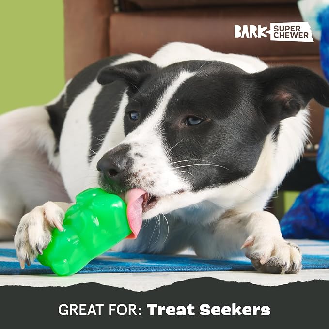 BarkBox Munchie The Bear Dog Toy - for Dogs up to 20 lbs - Small | for Treat Dispensing and Bouncing