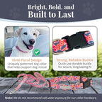 Lucky Love Dog - Easy Click Buckle Dog Collar with Leash Set Combo, Durable & Comfortable for Male & Female Dogs, Pet Collar for Small Dogs, Secure Fit - Floral Rosie Combo, Small