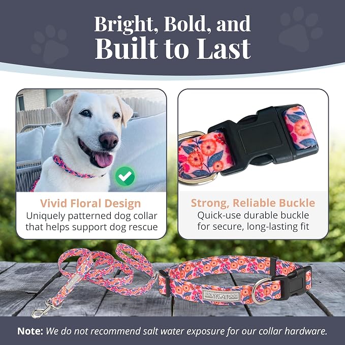 Lucky Love Dog - Easy Click Buckle Dog Collar with Leash Set Combo, Durable & Comfortable for Male & Female Dogs, Pet Collar for Small Dogs, Secure Fit - Floral Rosie Combo, Small
