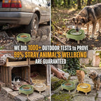 Ant Not Cross Elevated Cat Bowls Mess Proof-2 Food Grade Glass Bowls & 1 Lids- No Spill Cat Food and Water Feeding Station for Cats&Puppy Indoor & Outdoor,No Whisker Fatigue Dish,Yellow