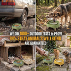 2 Pack Ant Not Cross Elevated Cat Bowls Mess Proof-4 Food Grade Glass Bowls & 2 Lids- No Spill Cat Food and Water Feeding Station for Cats&Puppy Indoor & Outdoor,No Whisker Fatigue Dish,Beige