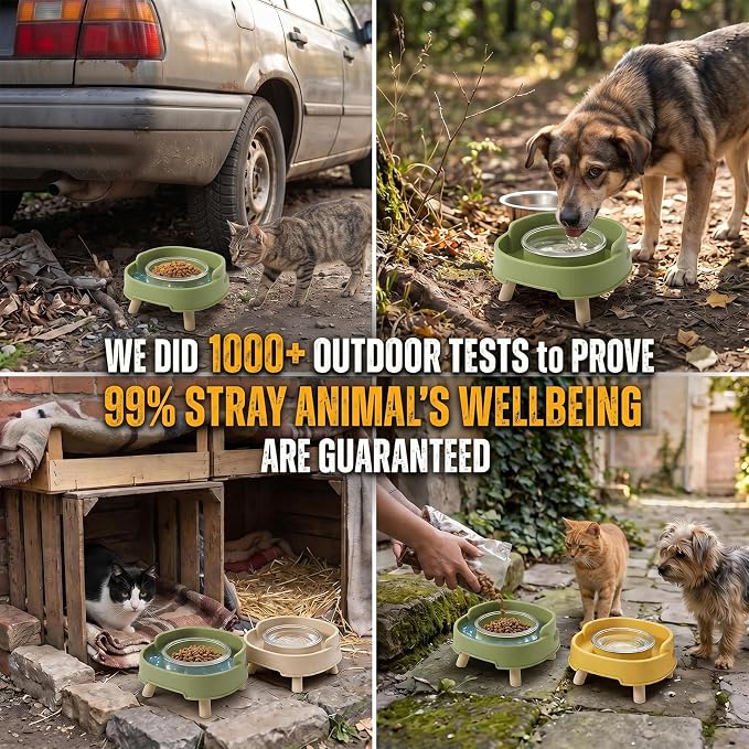 2 Pack Ant Not Cross Elevated Cat Bowls Mess Proof-4 Food Grade Glass Bowls & 2 Lids- No Spill Cat Food and Water Feeding Station for Cats&Puppy Indoor & Outdoor,No Whisker Fatigue Dish,Beige