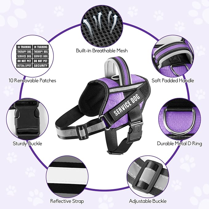 Service Dog Vest Harness and Leash Set, Animire in Training Dog Harness with 10 Dog Patches, Reflective Dog Leash with Soft Padded Handle for Small, Medium, Large, and Extra-Large Dogs (Purple, XL)