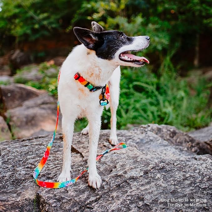 Wilderdog Waterproof Dog Collar - Repels Water & Dirt - Medium 13"-18" - Tie Dye