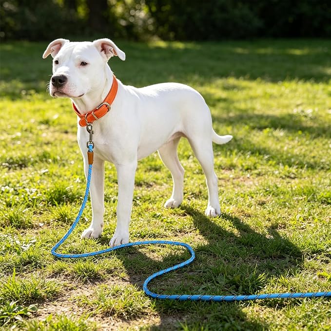 lynxking Long Dog Leash Reflective 15ft 30ft 50ft Check Cord Training Lead Padded Handle Heavy Duty Rope for Puppy Small Medium Large Dogs (Light Blue, 50ft x 3/8inch)