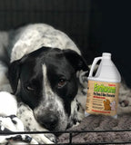 Earthworm Pet Stain Remover & Odor Eliminator- Removes Urine Smell with Natural Enzyme Formula, Fragrance Free Spray - 64 oz