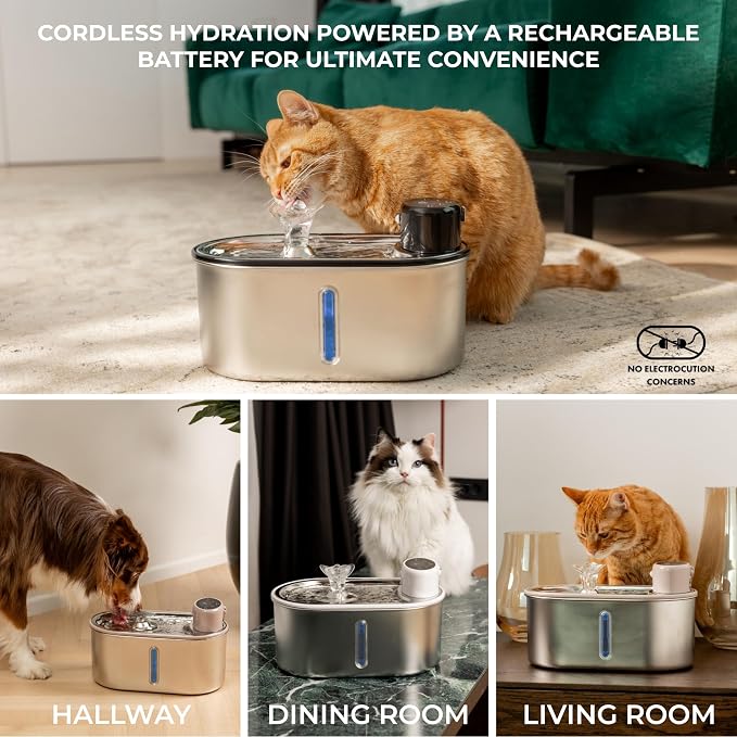Wireless Cat Water Fountain Stainless Steel 108oz/3.2L, Cordless, Battery Operated Cat Fountain (Last up to 50 Days), Ultra Quiet, 2 Flow Modes, Multi-Filtration, BPA Free - Black +6 Filters