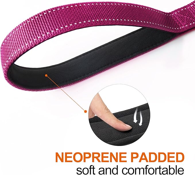 Twoear 6FT 1IN Heavy Duty Dog Leash for Large Dogs with 2 Padded Handles | Traffic Handle Extra Control, Auto Lock Hook, Strong Reflective Walking Leash for Night Safety, Medium and Large Breeds,Rose
