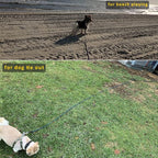 BTINESFUL 8/12/20/30/50/75ft Dog Tie Out Long Tether Rope Dog Lead for Yard | Large Medium Dogs Outdoor Training, Playing, Camping, or Backyard (75ft, Blue Black)