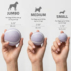 Playology Dog Toys | Squeaky Chew Ball for Dogs, Value 3-Pack | Lamb Scented Small Dog Balls | Bouncy Floating Chew Toys for Fetch