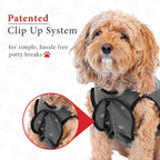BellyGuard Dog Surgery Recovery Suit, Post-Op Dog Recovery Suit for Female Spay & Male Neuter, Comfy Onesie for Pets, Surgical Body Cover for Canine Healing Support