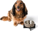 Ripple Ridge 16oz (2 Cups) Small/Medium Slanted Pet Feeder with Weighted Concrete Base and Removable Stainless Steel Bowl, Non-Slip Dishwasher Safe for Dogs, Cats, Pink DBL3001A
