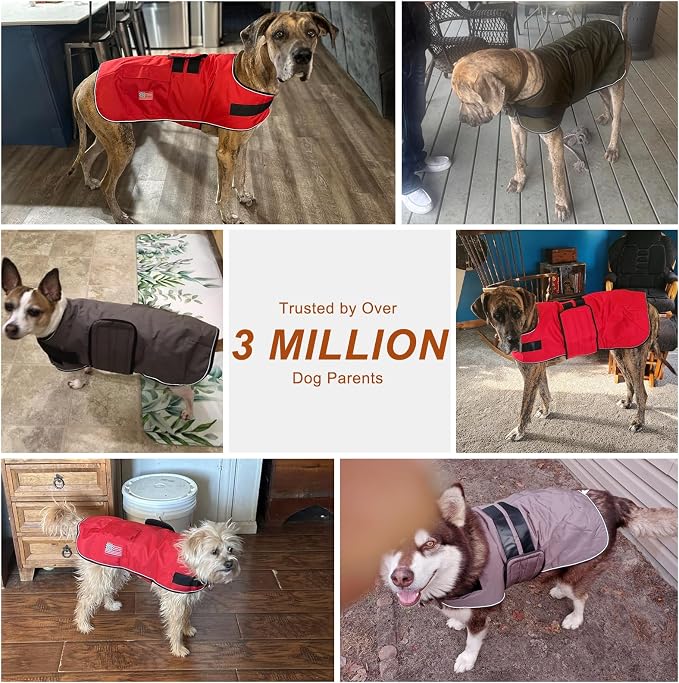 BEAUTYZOO Dog Winter Coat for Large Dogs Waterproof, Warm Reflective Great Dane Oxford Canvas Jacket, Fleece Dog Cold Weather Coats Windproof for Female Male Dogs, Red Plaid L