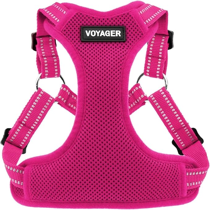 Voyager Step-in Flex Adjustable Dog Harness - Fuchsia, Small | 15 - 18" in Chest, Fully Adjustable, Reflective Bands, All Weather Breathable Air Mesh, Lightweight, Fast Drying