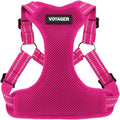 Voyager Step-in Flex Adjustable Dog Harness - Fuchsia, Large | 20 - 25" in Chest, Fully Adjustable, Reflective Bands, All Weather Breathable Air Mesh, Lightweight, Fast Drying