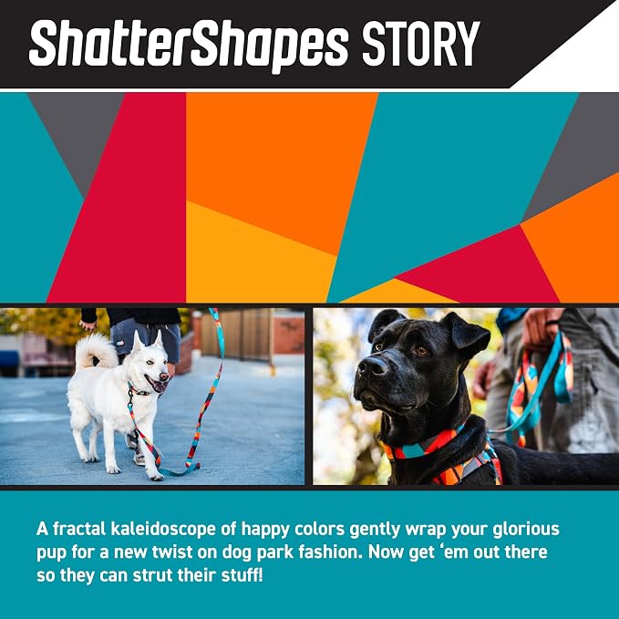 Wolfgang Premium Leash for Small Medium Large Dogs, Made in USA, ShatterShapes Print, Small (5/8 Inch x 4 Feet)