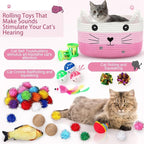 Zopeal 76 Pcs Cat Storage Basket Gift Toys Set Interactive Cat Toys Kitten Wand Colorful Flashing Balls Pet Crinkle Balls Attract Kitten to Swat, Hunt for Pet Indoor(Pink)