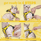 rabbitgoo Cat Harness and Leash Set, Escape Proof Vest, Yellow | Soft Breathable Mesh, Easy Adjustable Fit, Snap Buckles, Sturdy Clip, Reflective Strips, for Kittens & Small Cats Walks, Xxs