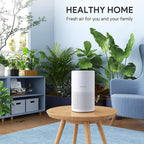 Air Purifiers for Bedroom, FULMINARE H13 True HEPA Filter | Remove Pet Hair, Smoke, Odors，Quiet Air Cleaner With Night Light, Portable Small Air Purifier for Home, Office, Living Room