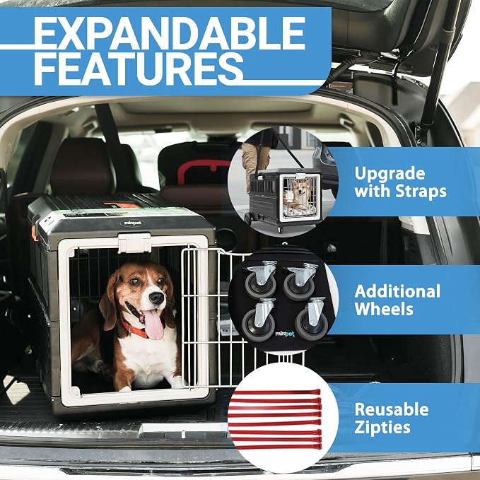 Pet Carrier with Pad, 21.5" L x 12" W x 14" H - Collapsible Travel Kit for Small Cats & Dogs, Hard Plastic Wall Kennel for Indoor/Outdoor Use