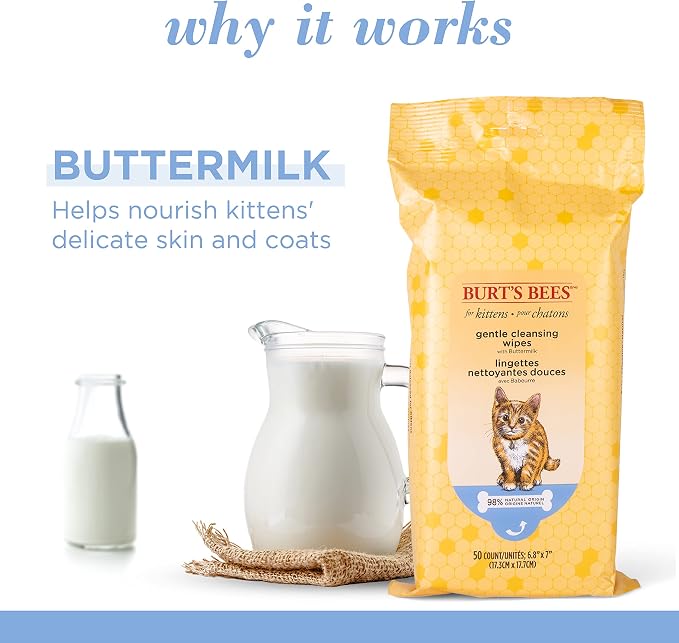 Burts Bees for Pets Kitten Grooming Wipes with Buttermilk, 50 Count, 6-Pack | Waterless bath wipes clean face, paws, tail, and coat, gentle alternative to bathing for indoor cats