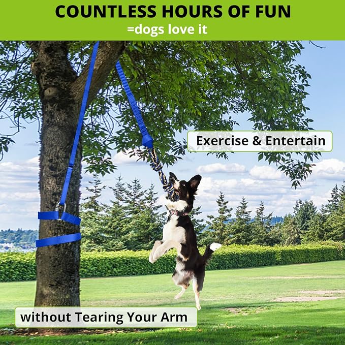 Dog Hanging Bungee Tug Toy: Interactive Tether Tug-of-War for Pitbull Small to Large Dogs to Exercise and Training Equipment - Outdoor Tree Tugger Dog Rope Toy with 2 Chew Rope Toys - Blue
