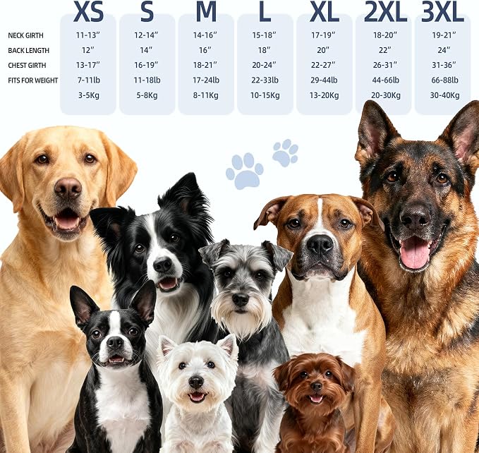 Dog Anxiety Vest–Dog Calming Shirt for Noise,Separation,Bule,M(17-24lbs) | Soothe your pet,Reduce anxiety,Keep things calm