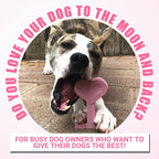 Bullibone Nylon Dog Chew Toy for Aggressive Chewers - Dental Hygiene Bone with Peppermint Flavor, Durable Tough Chew Toys for Large Dogs, Indestructible Dog Bone - 3 Pack