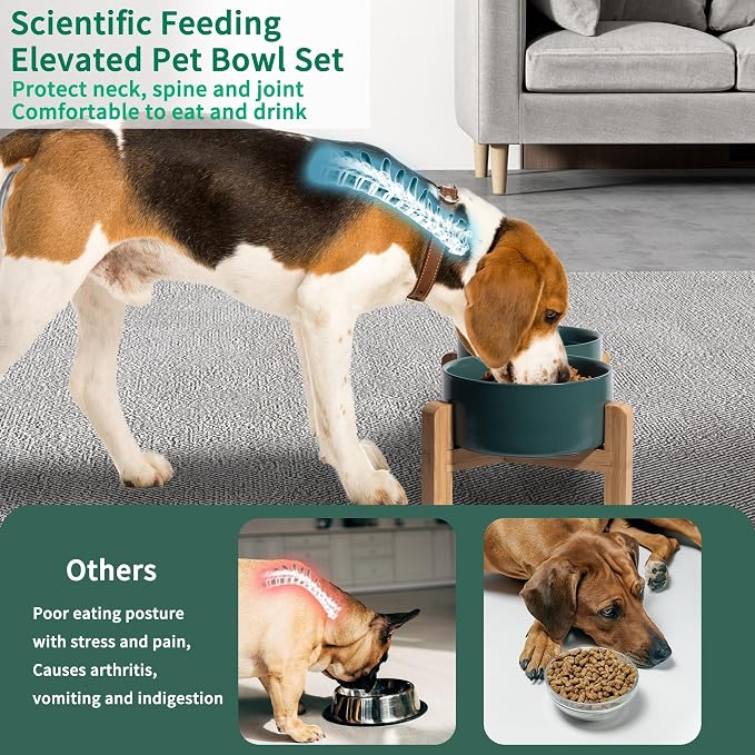 Elevated Ceramic Dog Bowl, 3.6 Cups Dog Food and Water Bowl Set with Stand | 6.1'' Double Dog Feeding Dishes, Non-Slip Raised Dog Feeder for Small and Medium Breeds, 28.74 OZ / 850 ML, White