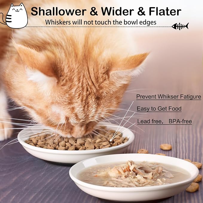 WROSWT Cat Food Bowl,Healthy Ceramic Cat Bowls for Indoor Cats,Anti Whisker Fatigue Cats Dishes Set,Shallow Wide Kitten Plates for Food and Water,Non-Slip Silicone Bottom,6 Pack