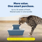 PetSafe Drinkwell Pagoda Ceramic Fountain, 70 oz, 4-Pack Carbon Filters | 2 Falling Water Streams Encourage Hydration, Cat & Small Dog Water Fountain, 4-Pack Carbon Filters