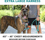 Embark Adventure XL Dog Harness – No-Pull, Reflective Trim, Military-Grade Nylon, 2 Leash Clips with Gel-Lined Handle, Soft & Padded