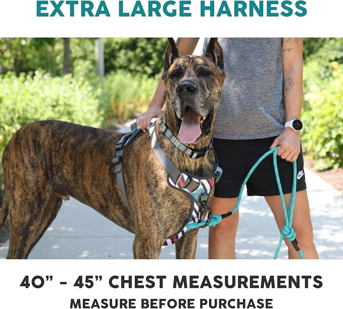 Embark Adventure XL Dog Harness – No-Pull, Reflective Trim, Military-Grade Nylon, 2 Leash Clips with Gel-Lined Handle, Soft & Padded